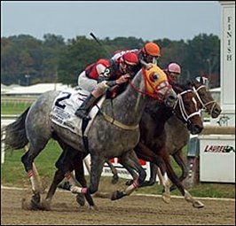 Docent Shows Way in Maryland Million Classic Docent Shows Way in Maryland Million Classic