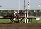 Canterbury Park