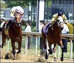 Filly Wins Three Chimneys Juvenile Filly Wins Three Chimneys Juvenile