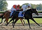 Country Star kicks clear in the Alcibiades.<br><a target="blank" href="http://www.bloodhorse.com/horse-racing/photo-store?ref=http%3A%2F%2Fpictopia.com%2Fperl%2Fgal%3Fprovider_id%3D368%26ptp_photo_id%3D2436002%26ref%3Dstory">Order This Photo</a>