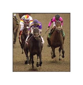 Louisiana Derby winner Fifty Stars was among the Kentucky Derby hopefuls who worked out at Churchill Downs Tuesday.