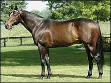 Juddmonte Farm Announces 2008 Stud Fees Juddmonte Farm Announces 2008 Stud Fees