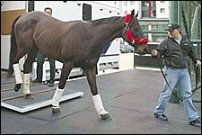 Battle Won Gets Post Five in Hong Kong Sprint Battle Won Gets Post Five in Hong Kong Sprint