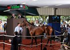 The $2.1 million sale-topper; Hip #55 (colt; Street Cry - Sage Cat by Tabasco Cat).