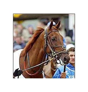 Funny Cide faces golden opportunity in Saturday's Jockey Club Gold Cup.
