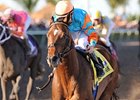 Holy Bull winner Saratoga Sinner