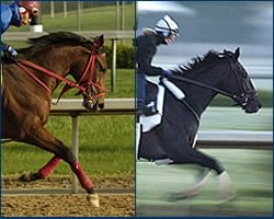 Afleet Alex Favored in Advance Derby Wagering Afleet Alex Favored in Advance Derby Wagering