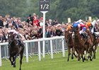 Fallen For You leaves the others behind in the Coronation Stakes.<br><a target="blank" href="http://photos.bloodhorse.com/AtTheRaces-1/at-the-races-2012/22274956_jFd5jM#!i=1920849734&k=CdFN2s9">Order This Photo</a>