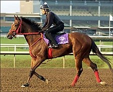 Afleet Alex Due to Work; Southwest Field Takes Shape Afleet Alex Due to Work; Southwest Field Takes Shape