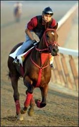 Afleet Alex: 'The One That Got Away' Afleet Alex: 'The One That Got Away'