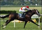 Breeders' Cup Decision Time for Man o' War Field Breeders' Cup Decision Time for Man o' War Field