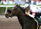 Sunshine Millions Filly and Mare Sprint Stakes victor Shaggy Mane is the one to catch in the Princess Rooney.
