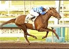 Master David draws off to win the Sham Stakes.