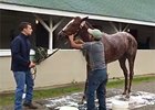 Kentucky Oaks: Favorite I'm a Chatterbox Kentucky Oaks: Favorite I'm a Chatterbox