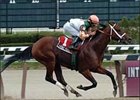 Divine Park, Alan Garcia up, captures the Withers Stakes, Saturday at Aqueduct.<br><a target="blank" href="http://www.bloodhorse.com/horse-racing/photo-store?ref=http%3A%2F%2Fpictopia.com%2Fperl%2Fgal%3Fprovider_id%3D368%26ptp_photo_id%3D1088270%26ref%3Dstory">Order This Photo</a>