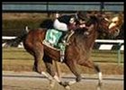 Wrangler Rallies to Paumonok Victory Wrangler Rallies to Paumonok Victory