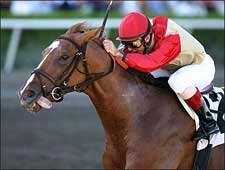 Corinthian Leaves Jazil Behind at Gulfstream Corinthian Leaves Jazil Behind at Gulfstream