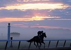 Belmont will be keeping its dirt track.<br><a target="blank" href="http://www.bloodhorse.com/horse-racing/photo-store?ref=http%3A%2F%2Fpictopia.com%2Fperl%2Fgal%3Fprovider_id%3D368%26ptp_photo_id%3D4610058%26ref%3Dstory">Order This Photo</a>