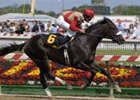 Chelokee Clashes With Strong Field in Northern Dancer Chelokee Clashes With Strong Field in Northern Dancer