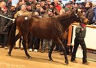 Diary, Lot 1650 at the Tattersalls December sale.