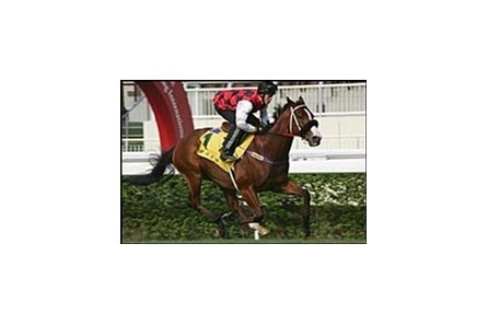 Takeover Target, working at Sha Tin Racecourse Wednesday.