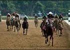 Horse Racing