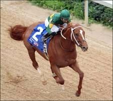 Curlin Clobbers Arkansas Derby Field Curlin Clobbers Arkansas Derby Field