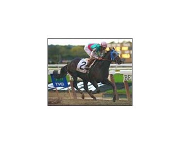 Aptitude's Gold Cup "was a break-out race that catapulted the son of A.P. Indy right up to the head of the class."