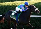 Herboriste Mows Down Dowager Rivals Herboriste Mows Down Dowager Rivals