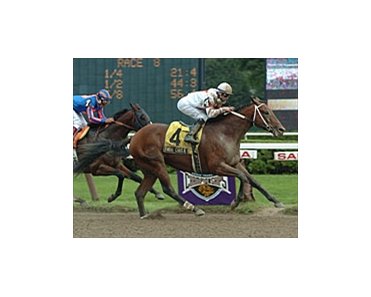 Bwana Charlie crosses the finish line ahead of Pomeroy to win the Amsterdam, Saturday at Saratoga.