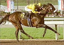 Grade I Winner Pico Central Retired to Padua Grade I Winner Pico Central Retired to Padua