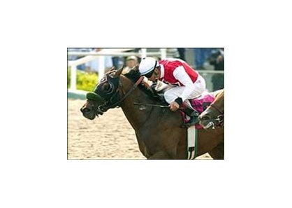 David Flores gets his 3,000th career win aboard Time To Get Even in the Lazaro Barrera Memorial Stakes, Sunday at Hollywood Park.<br><a target="blank" href="http://www.bloodhorse.com/horse-racing/photo-store?ref=http%3A%2F%2Fpictopia.com%2Fperl%2Fgal%3Fprovider_id%3D368%26ptp_photo_id%3D1239852%26ref%3Dstory">Order This Photo</a>