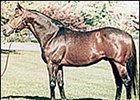Fasig-Tipton Midlantic Sale Soars in Opening Session Fasig-Tipton Midlantic Sale Soars in Opening Session