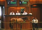 Looking Back: Reflections on OBS Market Looking Back: Reflections on OBS Market