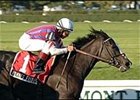 Pommes Frites wins the Athenia Handicap at Belmont Park.<br><a target="blank" href="http://www.bloodhorse.com/horse-racing/photo-store?ref=http%3A%2F%2Fpictopia.com%2Fperl%2Fgal%3Fgallery_id%3D6823%26process%3Dgallery%26provider_id%3D368%26ptp_photo_id%3D600715%26sequencenum%3D%26page%3D">Order This Photo</a>