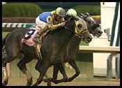 Churchill Downs Race Report: Speak Softly Churchill Downs Race Report: Speak Softly