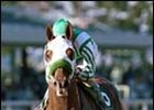 Point Given, with Gary Stevens aboard.