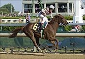 Funny Cide Among Six Grade I Winners Nominated to MassCap Funny Cide Among Six Grade I Winners Nominated to MassCap