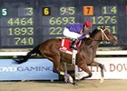 Golden Yank heads the field Zia Park Derby Dec. 6.