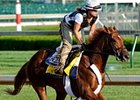 Ice Box Warms Up at Churchill Downs Ice Box Warms Up at Churchill Downs