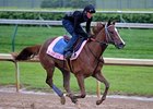 Favorite Blind Luck drew post 5 for the Kentucky Oaks. <br><a target="blank" href="http://www.bloodhorse.com/horse-racing/photo-store?ref=http%3A%2F%2Fpictopia.com%2Fperl%2Fgal%3Fprovider_id%3D368%26ptp_photo_id%3D8931887%26ref%3Dstory">Order This Photo</a>