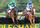 Dark Equation (left) on his way to victory in the New York Turf Writers Cup Steeplechase Handicap.