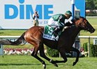 Gio Ponti tries for his third consecutive grade I in the Man o' War Stakes.<br><a target="blank" href="http://www.bloodhorse.com/horse-racing/photo-store?ref=http%3A%2F%2Fpictopia.com%2Fperl%2Fgal%3Fprovider_id%3D368%26ptp_photo_id%3D8204825%26ref%3Dstory">Order This Photo</a>