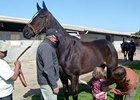 Autistic Boy Connects With Zenyatta Autistic Boy Connects With Zenyatta