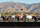 European Breeders' Cup contenders training at Santa Anita Park