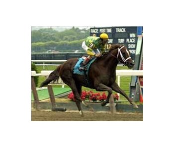 Limehouse wins Brooklyn 'Cap.
