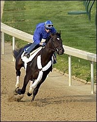 The Cliff's Edge Sizzles at Churchill The Cliff's Edge Sizzles at Churchill