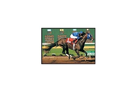 Essence of Dubai captures Super Derby XXIII.