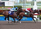 Nicanor (left) finished 2nd to Glittermans Cartel.<br><a target="blank" href="http://www.bloodhorse.com/horse-racing/photo-store?ref=http%3A%2F%2Fpictopia.com%2Fperl%2Fgal%3Fprovider_id%3D368%26ptp_photo_id%3D7958723%26ref%3Dstory">Order This Photo</a>