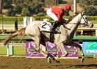 Stardom Bound Works for 3-Year-Old Debut Stardom Bound Works for 3-Year-Old Debut